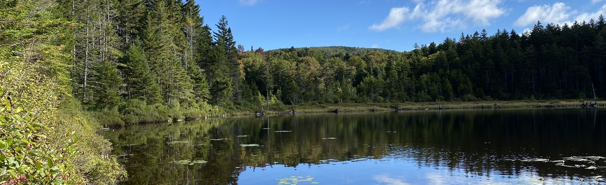 Beebe Pond Trail, Vermont - 8 Reviews, Map | AllTrails