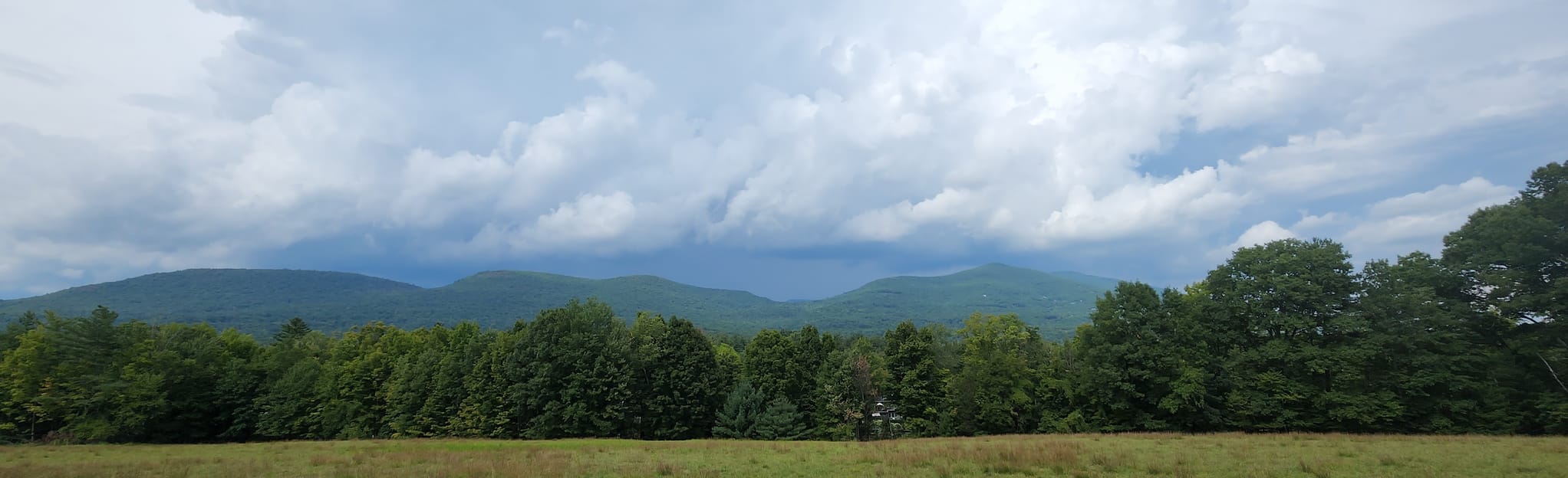 The Comeau Property Trail, New York 298 Reviews, Map AllTrails