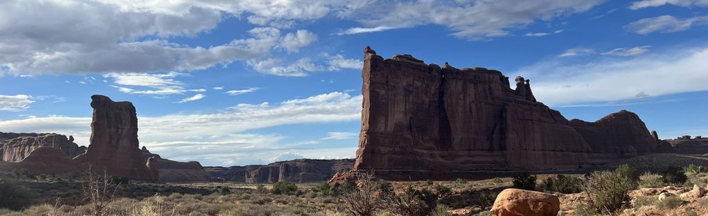 are dogs allowed in moab national park