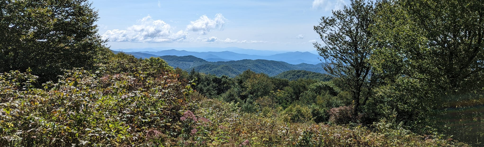 Bob Stratton's Bald and Hangover - North Carolina | AllTrails
