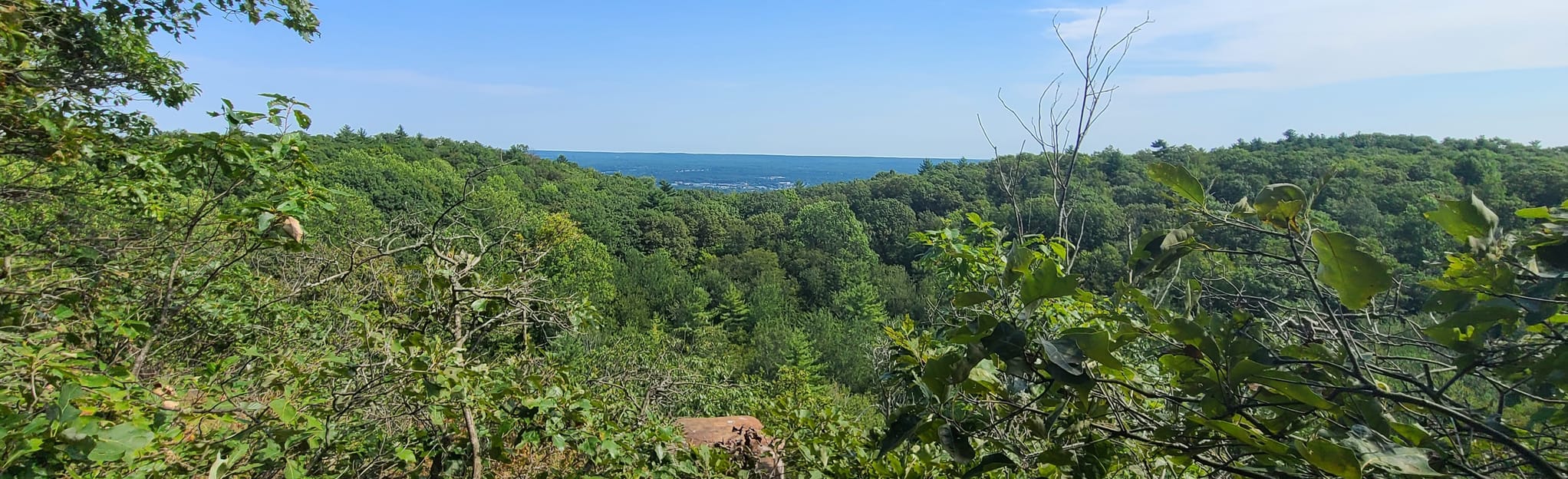 Sleeping Giant Blue and Yellow Trail Loop Connecticut AllTrails
