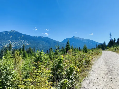 2023 Best Easy Trails In Columbia-Shuswap B | AllTrails