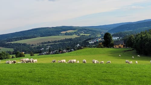 Kammweg Erzgebirge-Vogtland Etappe 7: Satzung - Bärenstein