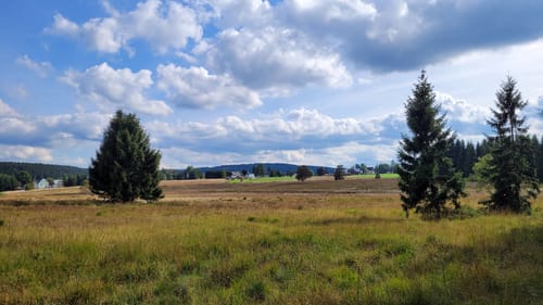 Kammweg Erzgebirge-Vogtland Etappe 5: Olbernhau - Kühnhalde