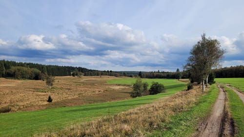 Kammweg Erzgebirge-Vogtland Etappe 5: Olbernhau - Kühnhalde