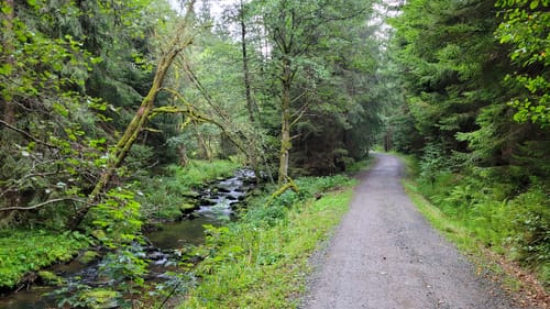 Kammweg Erzgebirge-Vogtland Etappe 7: Satzung - Bärenstein