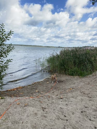 Göhren-Lebbin zum Fleesensee
