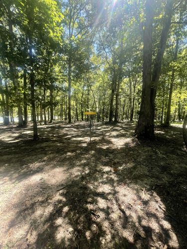 Best Hikes And Trails In Craighead Forest Park Alltrails 9076