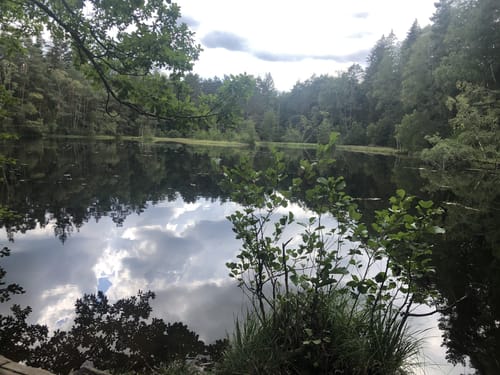 Rumberg-Steig (Premiumwanderweg)