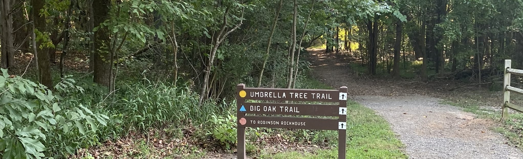 Umbrella Tree Trail 165 Reviews, Map North Carolina AllTrails