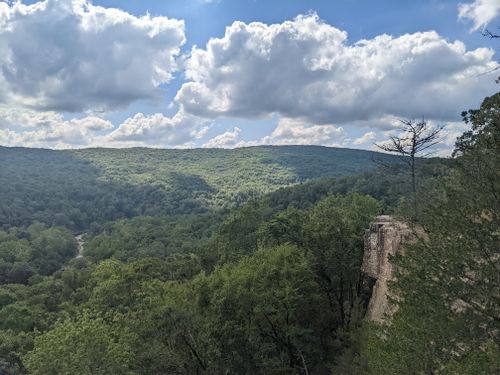 11 Things To Do At Devils Den State Park