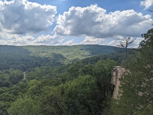 11 Things To Do At Devils Den State Park