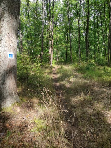 Großeibstadt WA4