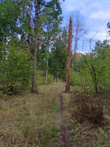 Großeibstadt WA4