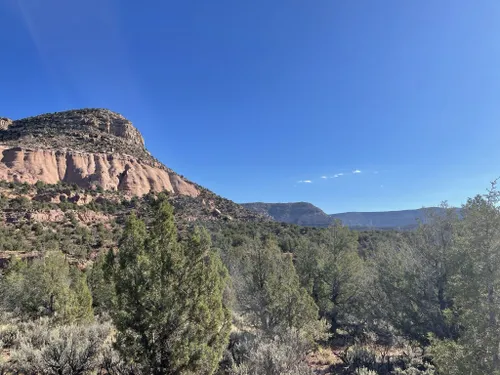 Best Hikes and Trails in Canyons of The Ancients National Monument ...