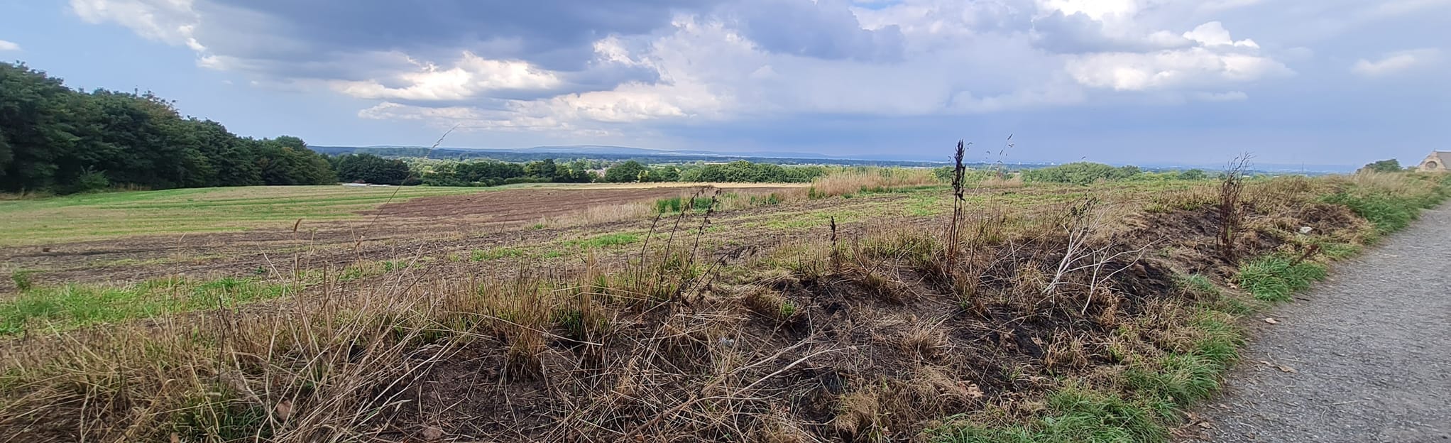 Dunham Massey Circular 401 foto's Greater Manchester, England