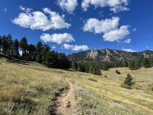 Best 10 Hikes and Trails in Roosevelt National Forest | AllTrails