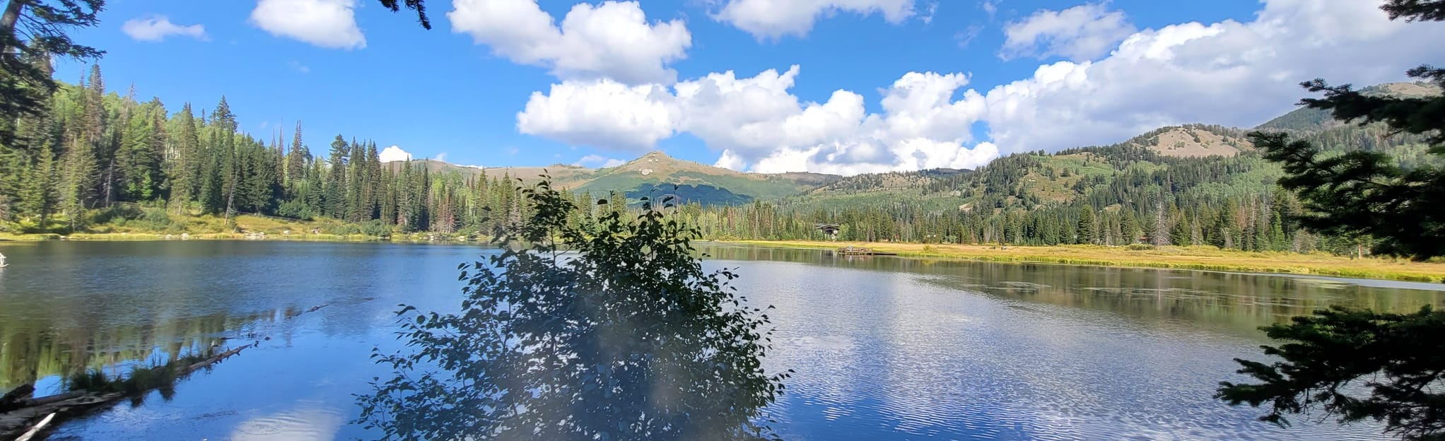 Solitude Lake to Twin Lake Loop: 907 Reviews, Map - Utah | AllTrails
