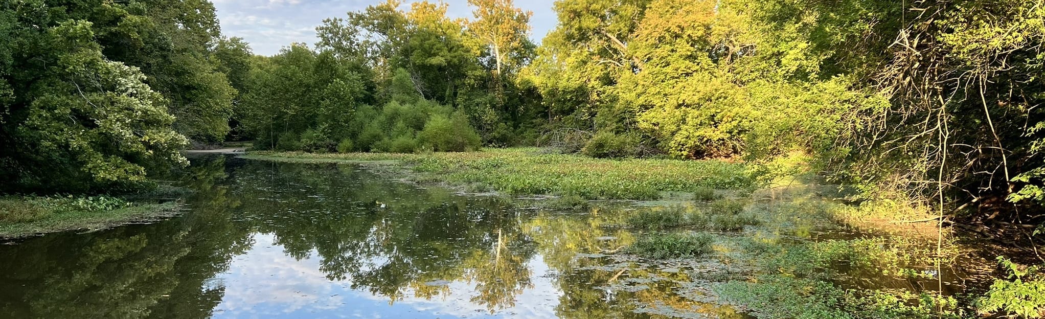 Springfield Conservation Nature Center Trail Loop - Missouri | AllTrails