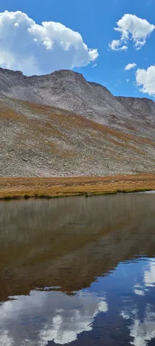 are dogs allowed on mt evans