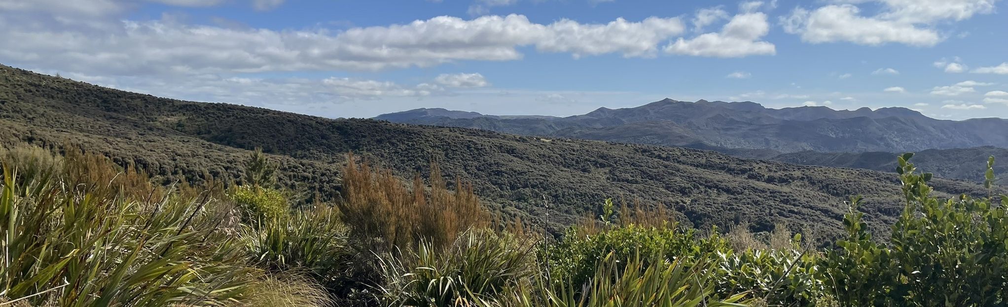 Pipeline Loop Track Otago New Zealand 4 Reviews Map Alltrails