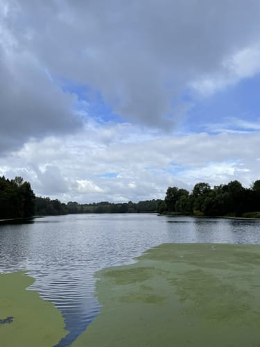 Um den Rosensee