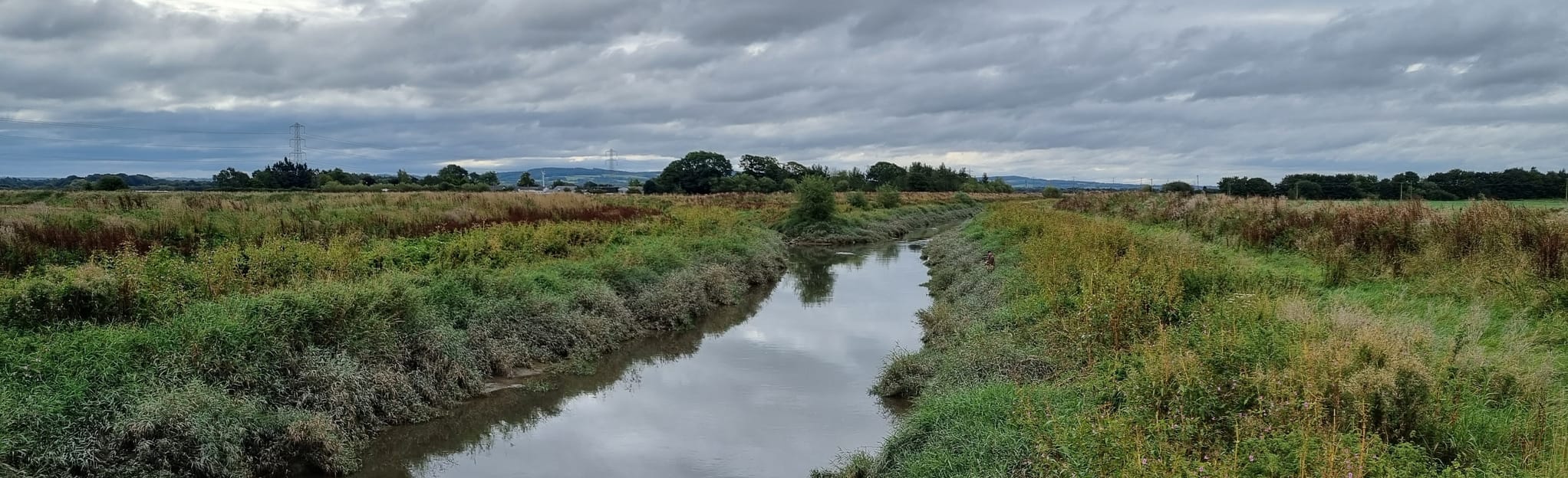 Tarleton and Bank Hall: 54 Reviews, Map - Lancashire, England | AllTrails