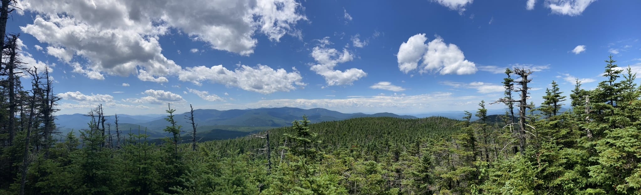 Mount Willey Mount Field and Mount - EyJidWNrZXQiOiJhc3NldHMuYWxsdHJhaWxzLmNvbSIsImtleSI6InVwbG9hZHMvcGhvdG8vaW1hZ2UvNTIwNjU4MDgvZDUyOTdiZTYyZDhmYjIyMWY0OTZkZjM0MTliMDllNTguanBnIiwiZWRpdHMiOnsidG9Gb3JtYXQiOiJqcGVnIiwicmVzaXplIjp7IndpZHRoIjoyMDQ0LCJoZWlnaHQiOjYyNCwiZml0IjoiY292ZXIifSwicm90YXRlIjpudWxsLCJqcGVnIjp7InRyZWxsaXNRdWFudGlzYXRpb24iOnRydWUsIm92ZXJzaG9vdERlcmluZ2luZyI6dHJ1ZSwib3B0aW1pc2VTY2FucyI6dHJ1ZSwicXVhbnRpc2F0aW9uVGFibGUiOjN9fX0=