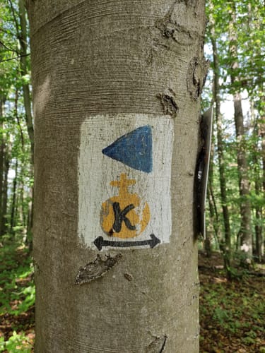 Neustadt an der Saale - Bad Neuhaus - Luitpold Höhe