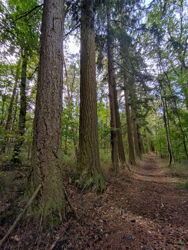 Neustadt an der Saale - Bad Neuhaus - Luitpold Höhe