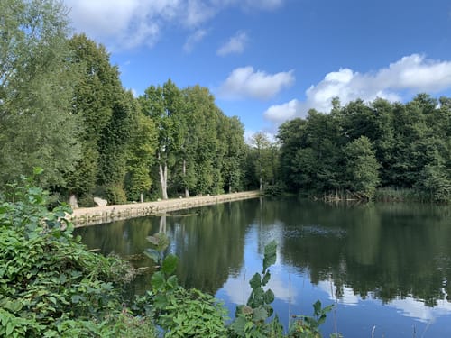 Rund um den Küchensee