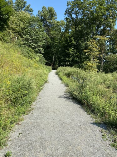Best trail running trails in Tunkhannock AllTrails