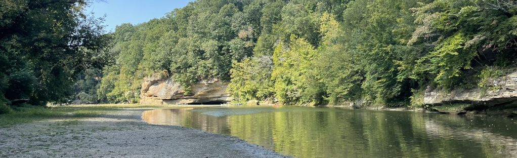 are dogs allowed at turkey run state park