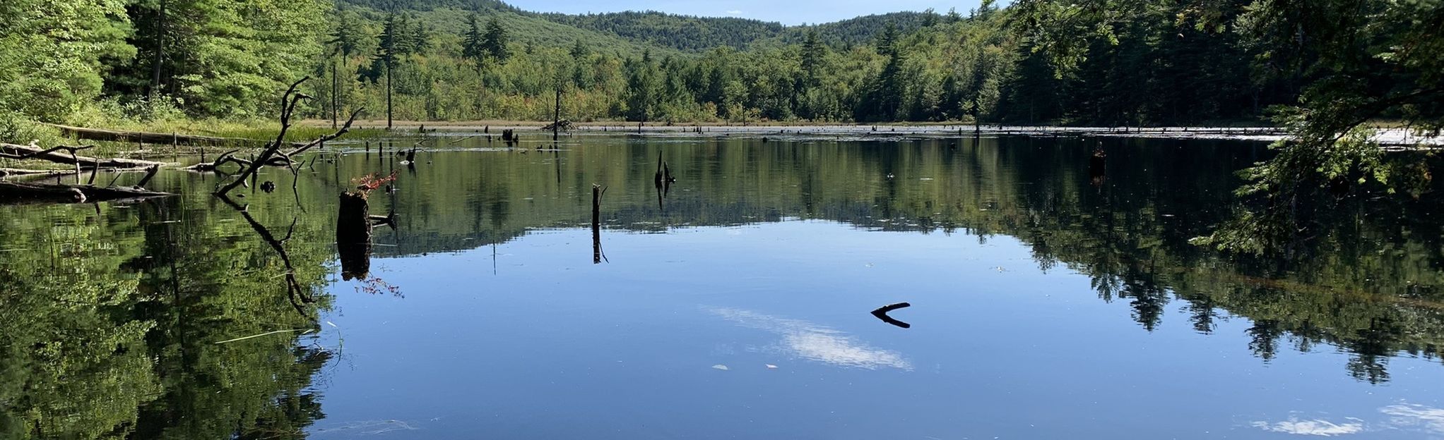 Epsom Town Forest and Mill Pond Loop - New Hampshire | AllTrails