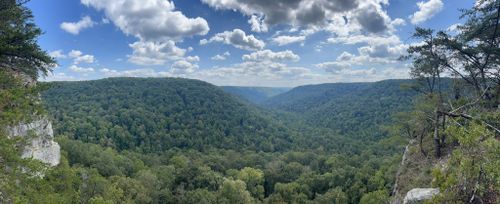 are dogs allowed at south cumberland state park