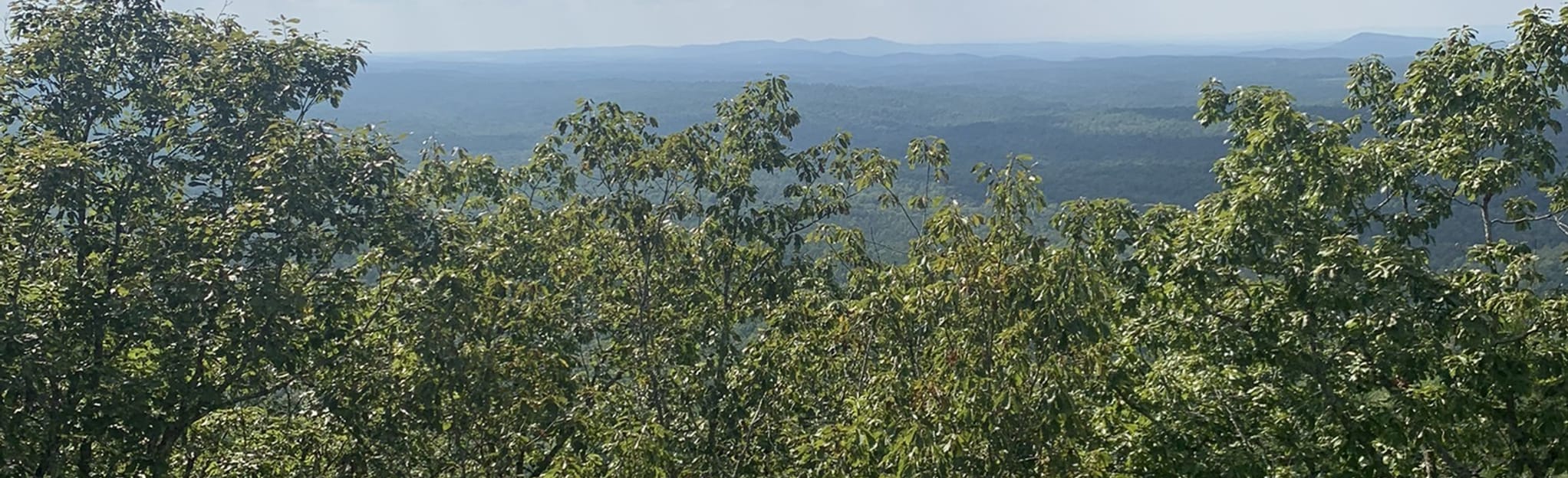 Bulls Gap Trail 83 Reviews, Map Alabama AllTrails