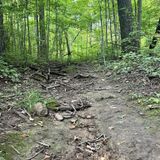 Baxter's Hollow Preserve Trail, Wisconsin - 150 Reviews, Map | AllTrails