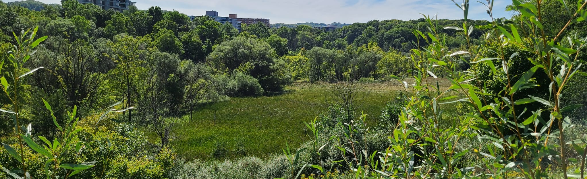 Hamilton Brantford Rail Trail 341 Reviews, Map Ontario, Canada