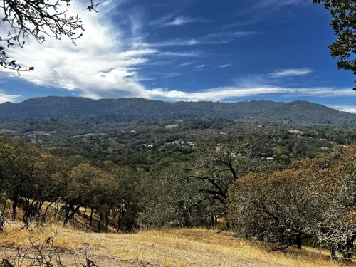 Best Hikes And Trails In Sonoma Valley Regional Park | AllTrails