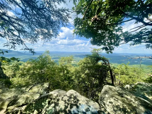 10 Best Hikes and Trails in Cohutta Wildlife Management Area | AllTrails