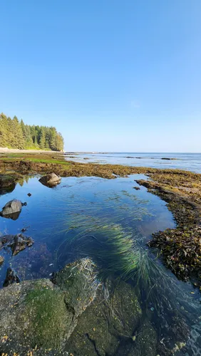 Port renfrew outlet hikes