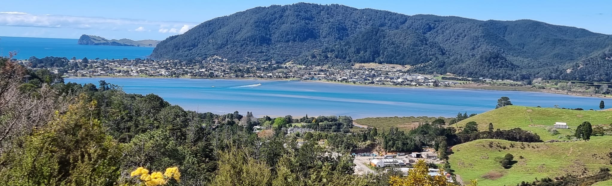 Red Bridge Loop Walk Mappa, Guida Waikato, New Zealand AllTrails