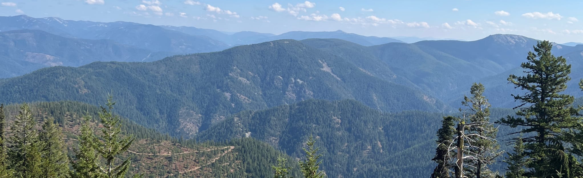 Kellogg Peak Trail Map, Guide Idaho AllTrails