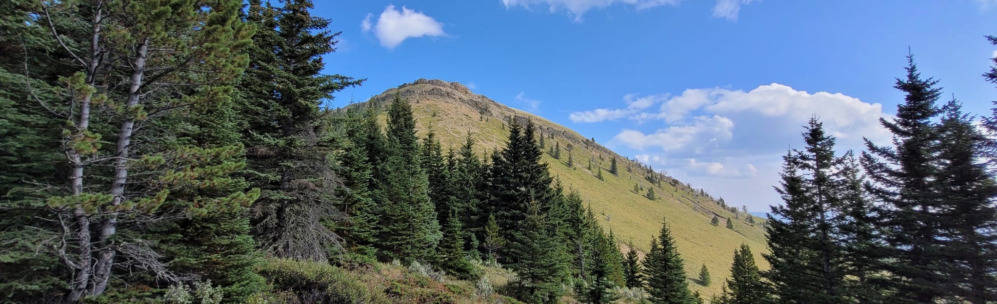 Sheep Mountain Route, Alberta, Canada 5 Reviews, Map AllTrails