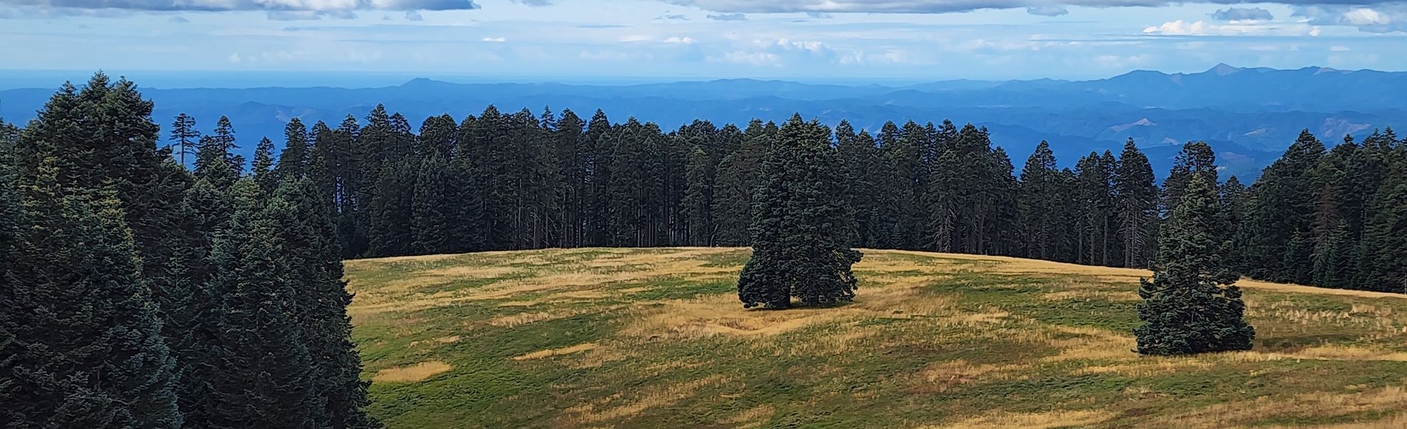 Mary's Peak East Ridge Trail: 454 Reviews, Map - Oregon | AllTrails