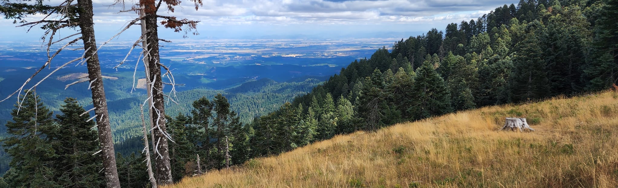 Marys Peak East Ridge and North Ridge Loop: 184 Reviews, Map - Oregon ...