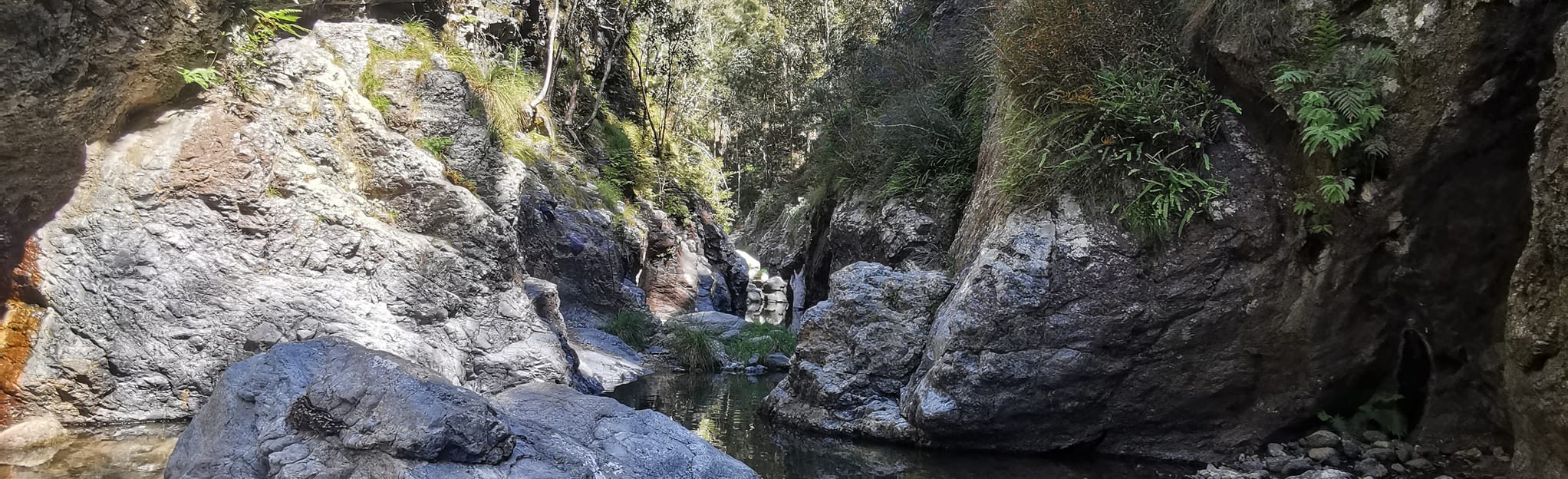 Northbrook 477 foto's Queensland, Australië AllTrails