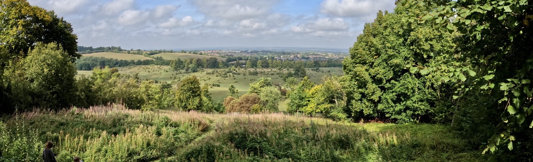Tring Park, Pavis Wood and Buckland Common Circular 10 Reviews, Map Hertfordshire, England