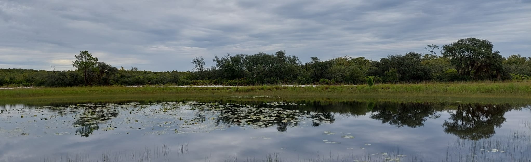 Catfish Creek Short Loop, Florida 174 Reviews, Map AllTrails