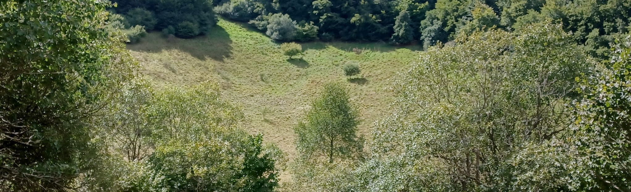 Col de la Nugère - Puy des Gouttes: 5 Reviews, Map - Puy-de-Dôme ...